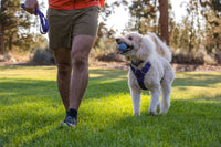 Ruffwear Turnup
